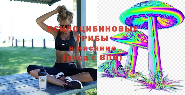 спиды Абдулино