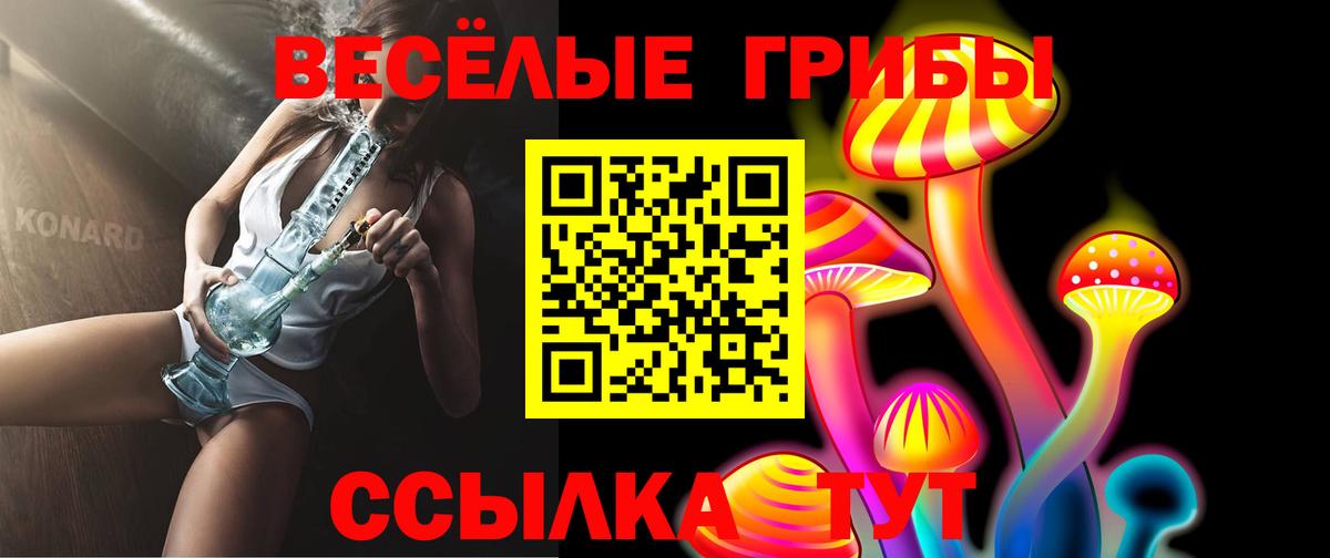 Галлюциногенные грибы GOLDEN TEACHER  Вход с VPN  Псилоцибиновые грибы Magic Shrooms  Сертолово 